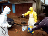 Вирус Эбола стремительно распространяется по всем миру. Как сообщает Всемирная организация здравоохранения (ВОЗ), число жертв вируса в странах Западной Африки выросло до 4447 человек, около 8,9 тысяч инфицированы